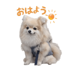 milky_20260407102748