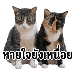 Karoon Jongjitpitsamai_20260406180309