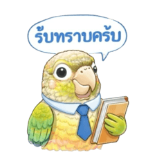 Armeen_20260406204458