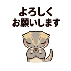 Type B_20260405231419