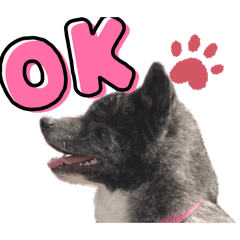 ruruko_