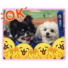 nontan_20260406113515