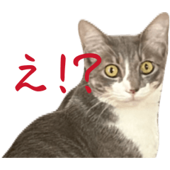 ikasumipasta_20260406113447