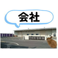 azukichi_20260406114111