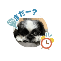 crowber_20260407081016