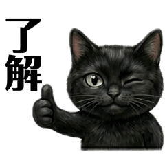 Doing my best  black cat