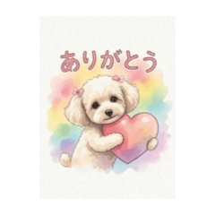 doramihime_20260407101411