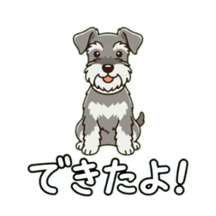 Miniature Schnauzer Japanese Greeting 12