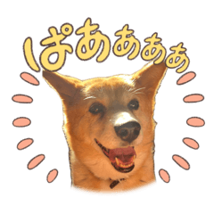 kazoku_20260407112205