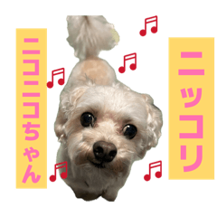 mishelu_20260407111917