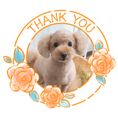 momomaro_20260407112228