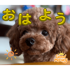 mario_fan_20260407112844