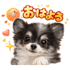 Yurie_20260407114332