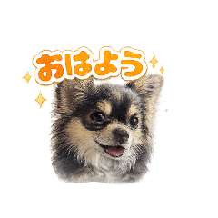 sinich.s_20260407114821