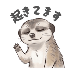 Meea's Laid-Back Life