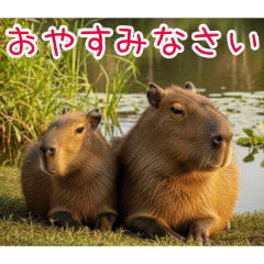 PAKAMOGOLY_20260407100023