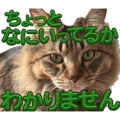 rio-rio_20260407115535