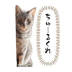 izabera405_20260407120421