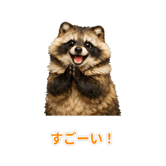 Fluffy Tanuki's Daily Reactions