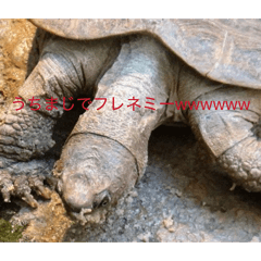 kaneda_20260403163139