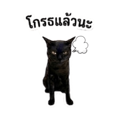 Srinin_20260406214115