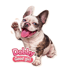 Dobby Good Girl V.2