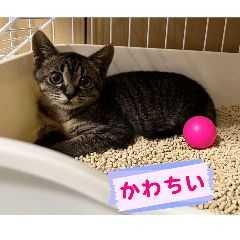 iku_20260407123108