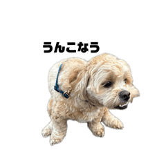 Izumi_20260407123742