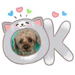 marumaru_20260407134407