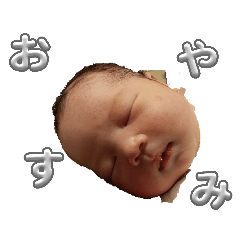 Kaisei_20260407145818