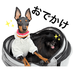 piyon_20260407150542