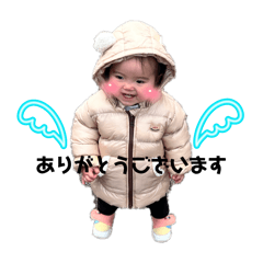 ringo_20260407150524