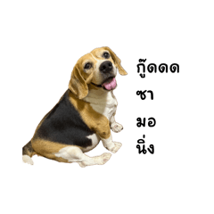 Nutthasak_20260406230058