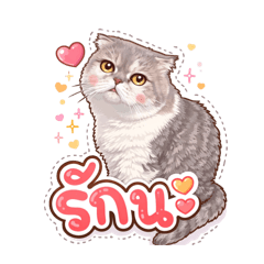 Puna1_20260406225839