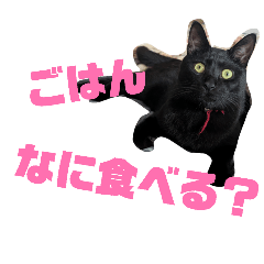 keeeeeeyseye1204_20260407130126