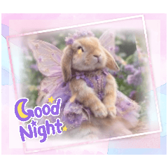 momotan_20260407122444