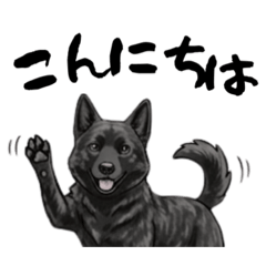 KAIKENKUROTORA,SHIGURE