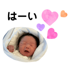 neppie_20260407135006