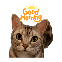 kuuchan_20260407140945