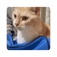 yuhki_20260407152234