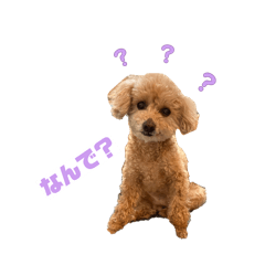 yuika_20260406162904