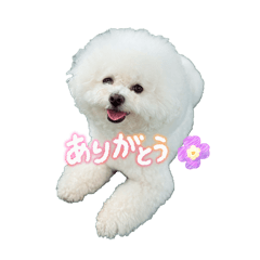 Momomi_20260406163329