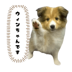 fukuchan_20260406163750