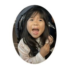 gomao the shitzu_20260406162907