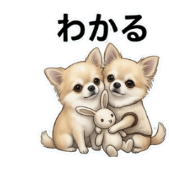 satoshi_20260406163401