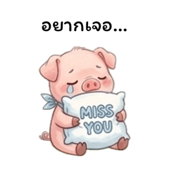 Piggy Palette of Feelings