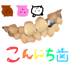 yuka_20260403191440