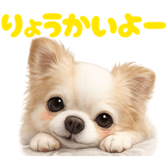 DOG STAMP ORDER_20260406191617