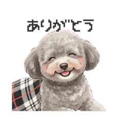 mumumu_20260406191202