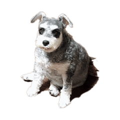 seshi ru_20260406191653